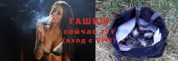сатива Новокубанск