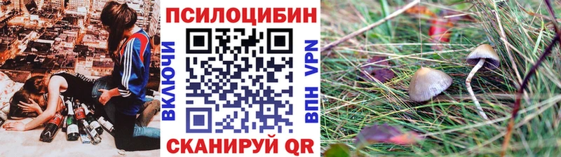 Галлюциногенные грибы прущие грибы  закладки  Холмск 