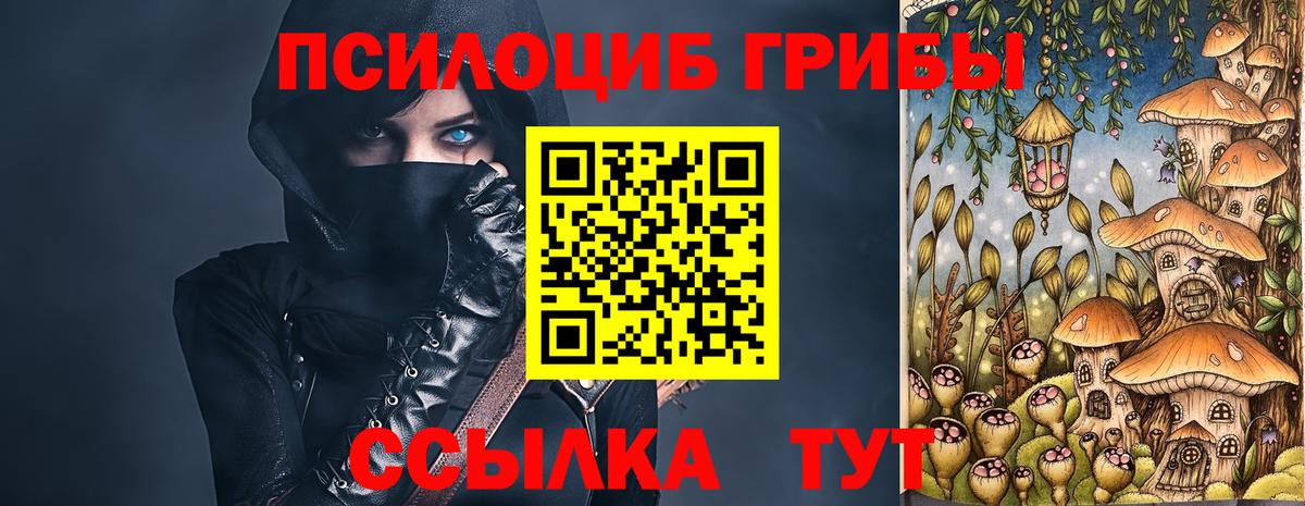 Галлюциногенные грибы прущие грибы Холмск