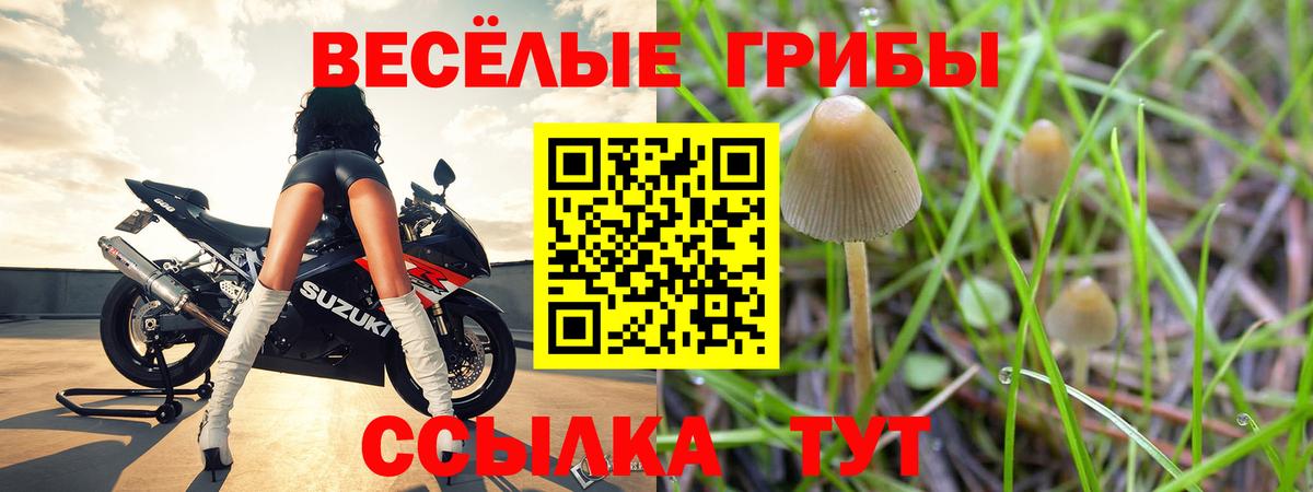 Холмск  Галлюциногенные грибы ЛСД  Вход с VPN 
